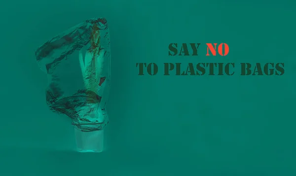 Concept of World Environment Day: Plastic Free (dalam bahasa Inggris). Kantong plastik diletakkan pada bunga gondok sebagai simbol kehidupan dan alam. Konsep menyelamatkan lingkungan, polusi. Latar belakang duotone untuk ruang penyalinan — Stok Foto