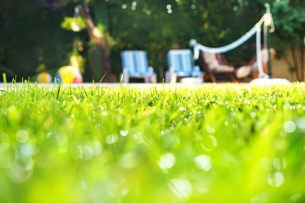 Green grass with water drops and green bokeh background on the yard with swimming pool and deck chairs for friends at garden party. Selective focus. Concept for summer rest and holiday — Stock Photo, Image
