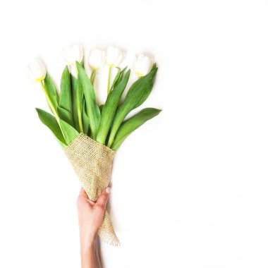 Beyaz zemin üzerinde bir kadın elinde Beyaz Lale buketi. Sevgililer günü, doğum günü, 8 Mart için hediye kavramı. Kopya alanı.