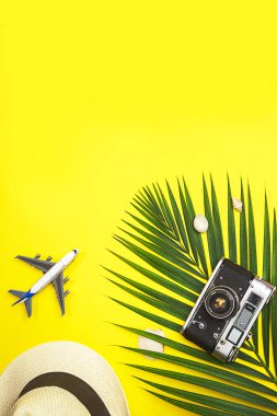 Düz yatıyordu seyahat aksesuarları tropikal palmiye yaprağı, beyaz hasır şapka, uçak oyuncak, retro kamera ve metin için yer ile sarı renkli arka plan üzerinde deniz kabuklarını. Seyahat tatil yaz konsepti. Üstten Görünüm
