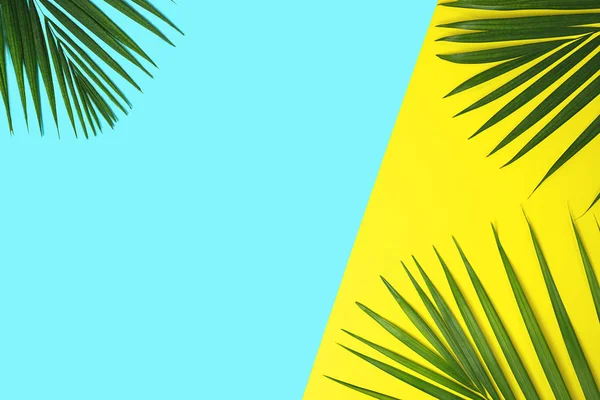 Tropical green palm leaves on colorful background. Yellow and blue colors. — Stock Photo, Image