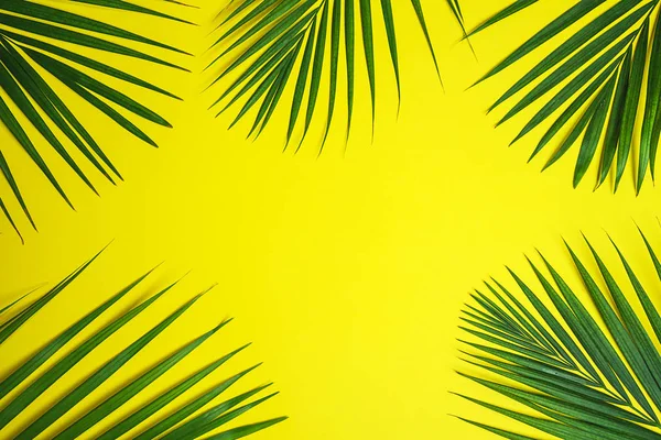 Folhas de palma verde tropical no fundo amarelo . — Fotografia de Stock