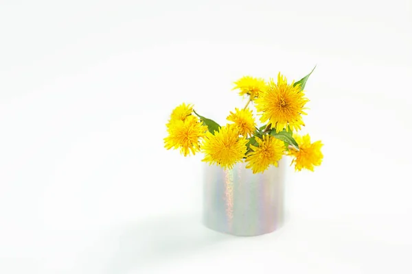 Żółty mniszek lekarski. Zbliżenie kwiatów mniszek na białym tle. — Zdjęcie stockowe