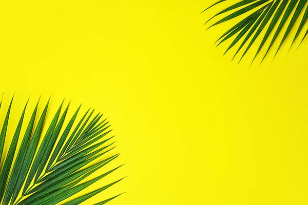 Folhas de palma verde tropical no fundo amarelo . — Fotografia de Stock