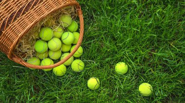 Tennis balls in a basket on green grass.