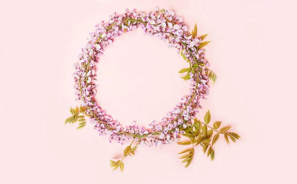 Kruhový rám z nádherné wisterie květy s květy poupata na růžovém pozadí. — Stock fotografie
