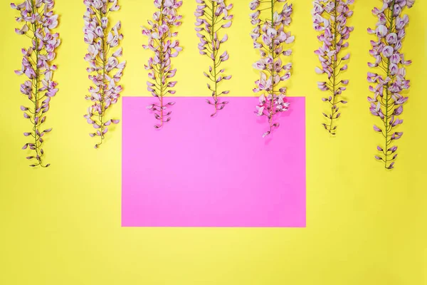 Krásná purpurová růžová větev Wisteria s květy poupata a růžovou papírovou kartou na žlutém pozadí. — Stock fotografie