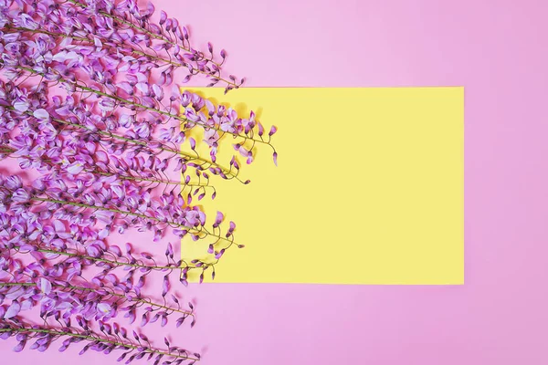 Krásná purpurová růžová větev Wisteria s květy poupata a na růžovém pozadí lístek se žlutou listovou kartou. — Stock fotografie