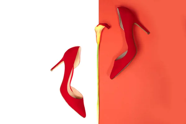Accessoires élégants féminins ensemble de tenue de luxe de mode : chaussures rouges — Photo