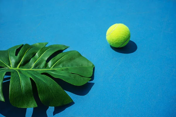 Tennis summer concept with monstera leaf and ball on hard tennis court.