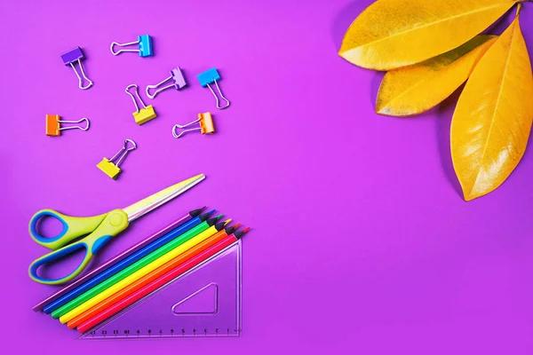 Volver al fondo de la escuela con lápices de colores, regla cuadrada, tijeras, clips de papel de colores y hojas de autimn amarillo sobre fondo púrpura . — Foto de Stock