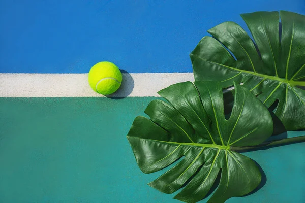 Yeşil monstera yaprakları ve sert tenis kortu üzerinde beyaz çizgi üzerinde topu ile Yaz tropikal tenis konsepti. — Stok fotoğraf