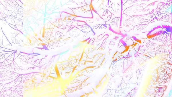 抽象现代格拉迪雪树枝的冬季景观 — 图库照片