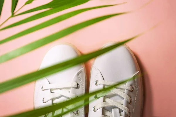 White sneakers are lying under the shade of palm tree on pink coral background. — Stock Photo, Image