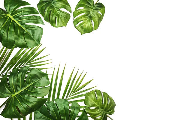 Monstera izole, Isviçre peynir tesisi ve palmiye beyaz arka planda izole yaprakları ile tropikal desen.