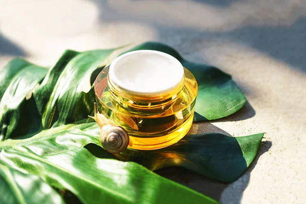 Snail and a jar of skin cream on green monstera leaf on concrete background. — Stock Photo, Image