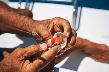 Yattaki yaşlı adam denizden midye kabuğu açtı.
