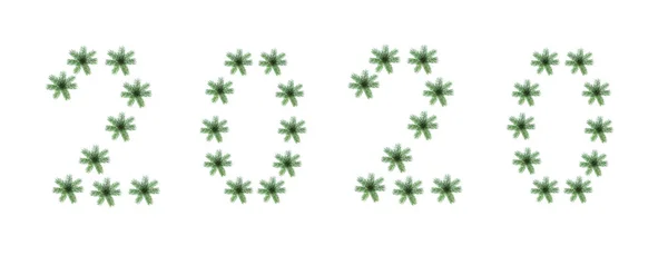 Creative Christmas pattern 2020 made of natural green fir tree branches as snowflakes on white background, isolated. — Stock Photo, Image