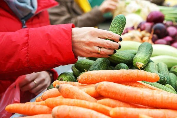 Friss és ökológiai zöldségek értékesítése a zöld piacon vagy a mezőgazdasági termelők piacán. — Stock Fotó