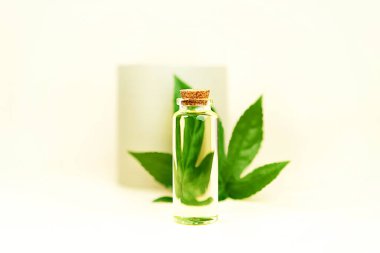 Bitkisel Cbd yağlı cam şişe, Thc tentürü ve pastel bej arka planda kenevir yaprağı..