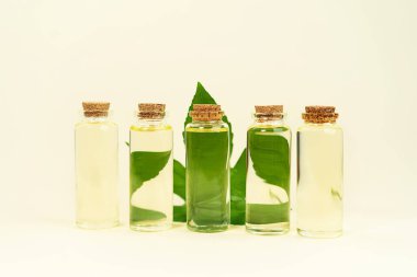 Bitkisel CBD yağlı cam şişeler, THC tentürü ve pastel bej arka planda kenevir yaprağı..