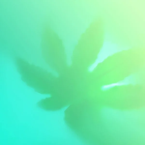 Colore brillante ombra di foglia marijuana su sfondo sfumato verde di tendenza. — Foto Stock