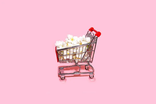 Carro de la compra sobre fondo rosa pastel con espacio para copiar . — Foto de Stock