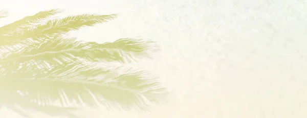 Sombras de folha de palma em uma areia branca na praia tropical. — Fotografia de Stock