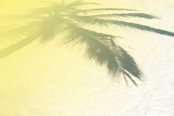 Cienie liści palmowych na białym piasku na tropikalnej plaży. Kolor żółty stonowany. — Zdjęcie stockowe