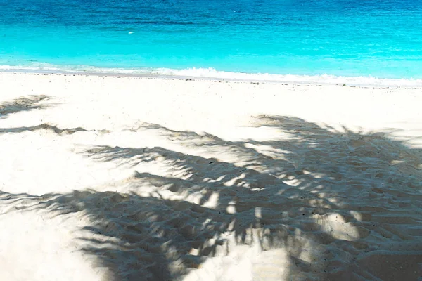 Panorámás kilátás egy gyönyörű napos nap és pálmafák homokos strandon. — Stock Fotó