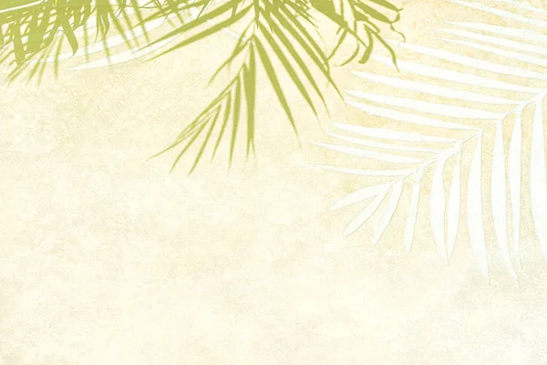 Stíny palmových listů na bílém písku na tropické pláži. — Stock fotografie