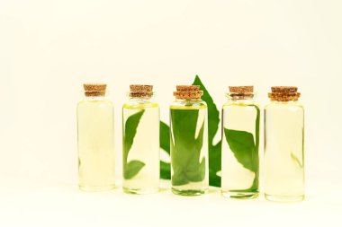 Bitkisel CBD yağlı cam şişeler, THC tentürü ve pastel bej arka planda kenevir yaprağı..