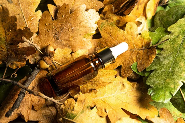 Autumn Beauty product creative composition. — Stock Photo, Image