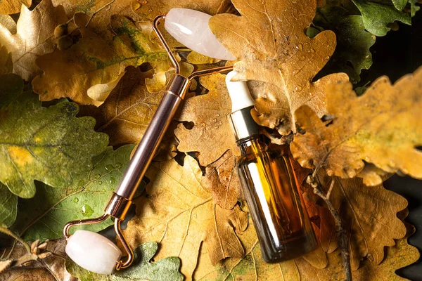 Autumn Beauty product creative composition. — Stock Photo, Image