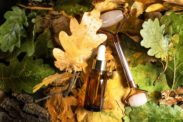 Autumn Beauty product creative composition. — Stock Photo, Image