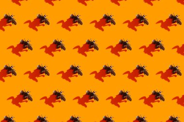 Cadılar Bayramı, turuncu arka planda sinekten ve gölgeden oluşan minimal desen. 