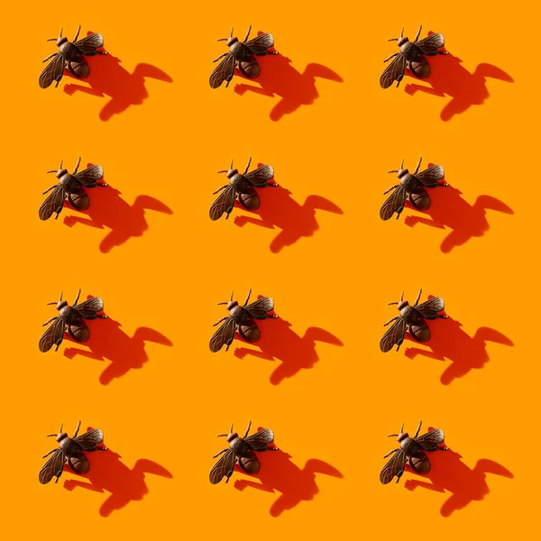 Хэллоуин минимальный рисунок из мухи и тени на оранжевом фоне. — стоковое фото