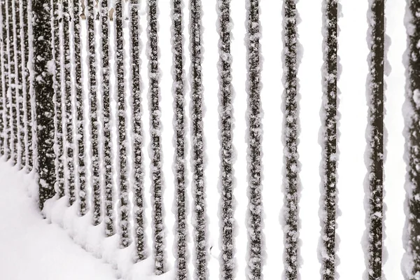 Lattice Fence Covered Snow Winter Time Heavy Snowfall — Stock Photo, Image