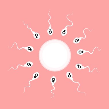 sperm ve yumurta. vektör illüstrasyonu