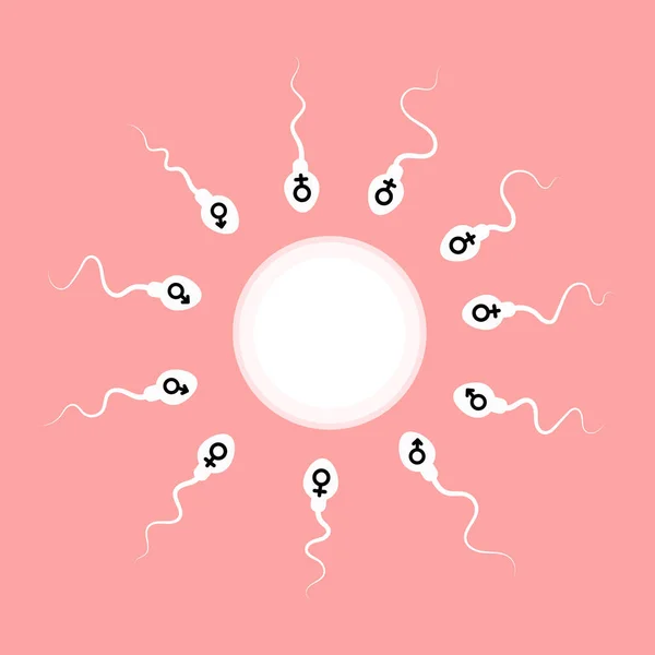 sperm ve yumurta. vektör illüstrasyonu