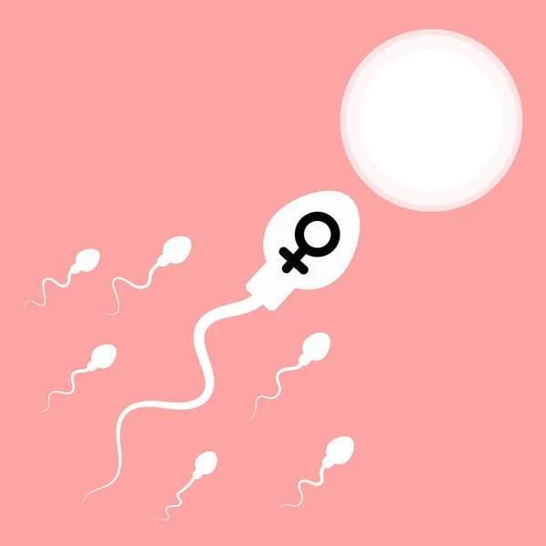 Esperma Óvulo Ilustração Vetorial — Vetor de Stock