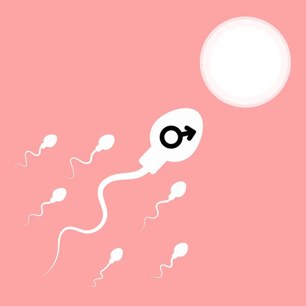 Esperma Óvulo Ilustração Vetorial — Vetor de Stock