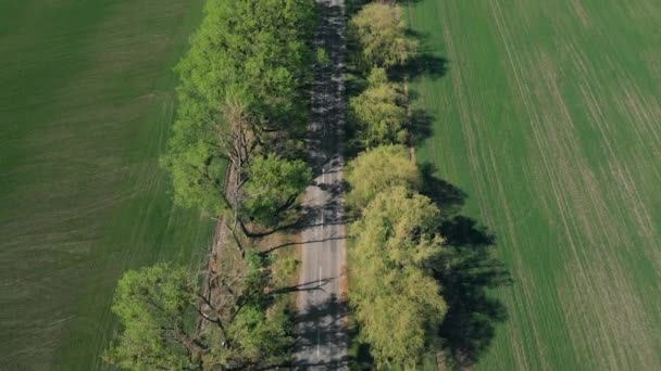 Flight Over Trees And Fields — Stock Video