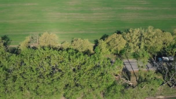 Survol des arbres et des champs 