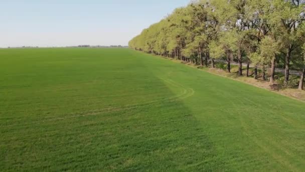 Fliegen über schöne grüne Landschaft — Stockvideo