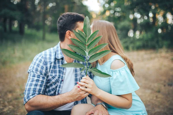 カットの枝に座って森の中でキスする若いカップル — ストック写真