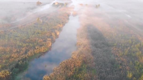 从无人机上射击 一大早就飞越雾蒙蒙的河上 — 图库视频影像