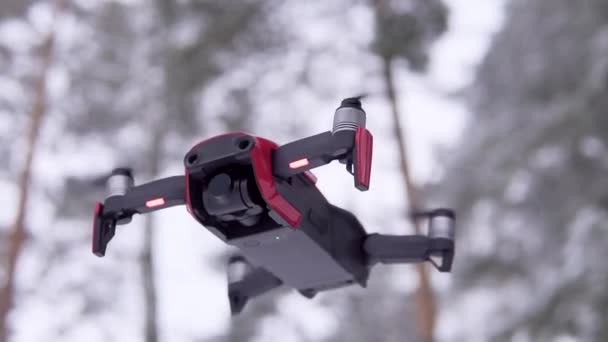 Slow Motion Drone Flying Forest — Stock Video