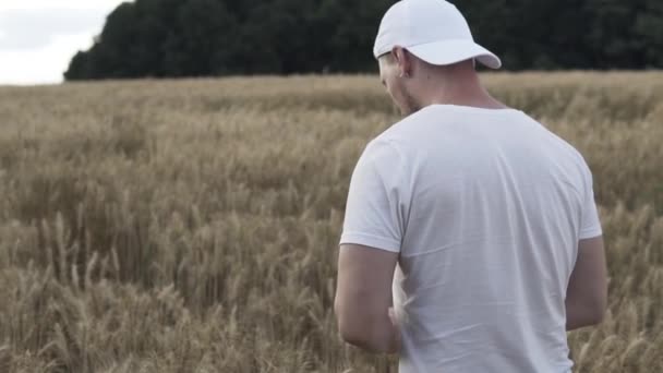 A guy in a white T-shirt is walking across a field of wheat and holding a spikelet in his hands