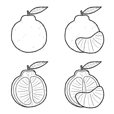 Tangelo Vector Illustration Hand Drawn Fruit Cartoon Art clipart